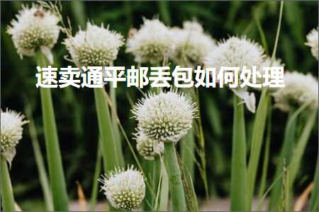 花都网站推广 跨境电商知识:速卖通平邮丢包如何处理